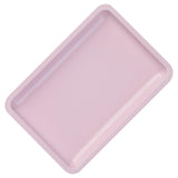 Stainless Steel Implements Tray