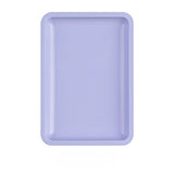 Stainless Steel Implements Tray