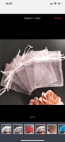 Organza Bags (Set of 10) (4”x6”)