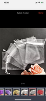 Organza Bags (Set of 10) (4”x6”)